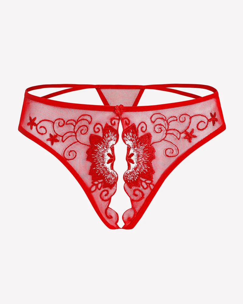 Floral Briefs Embroidered Thongs Panties