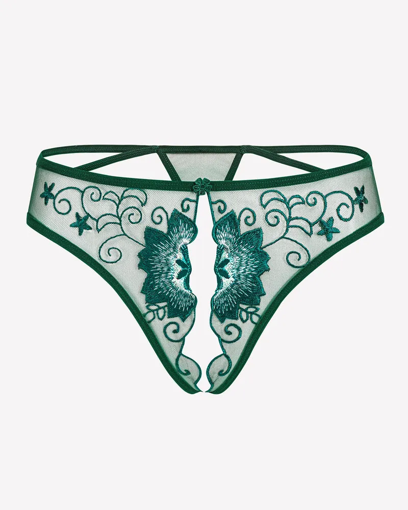 Floral Briefs Embroidered Thongs Panties