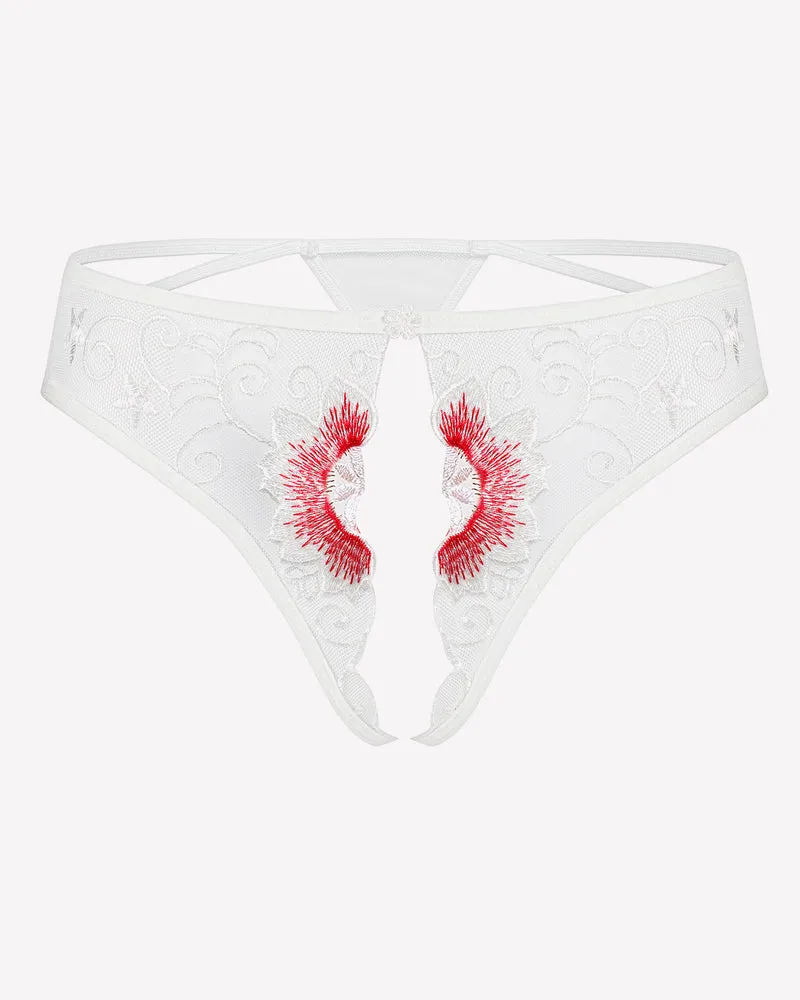 Floral Briefs Embroidered Thongs Panties