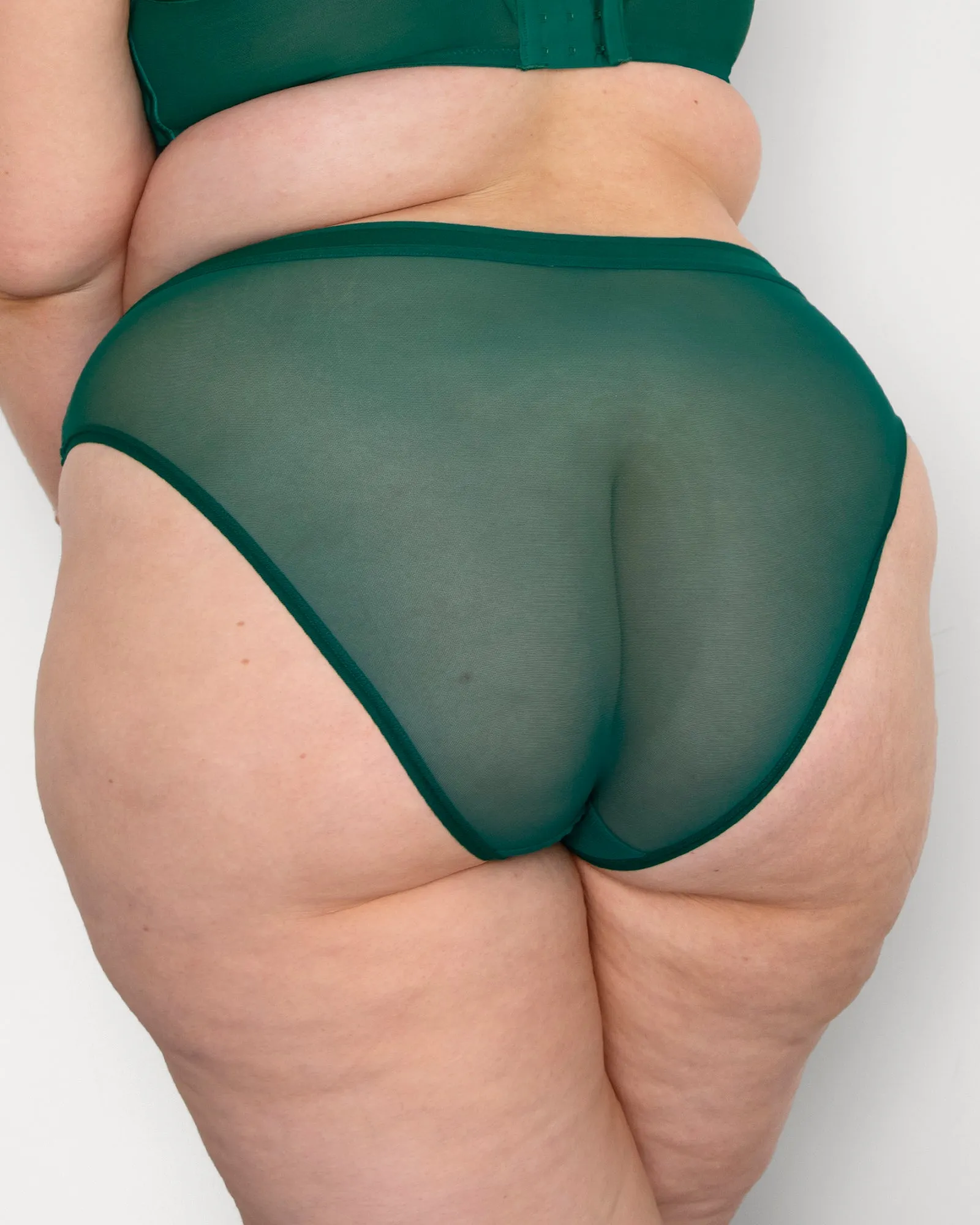 Sheer Mesh High Cut Brief - Aventurine