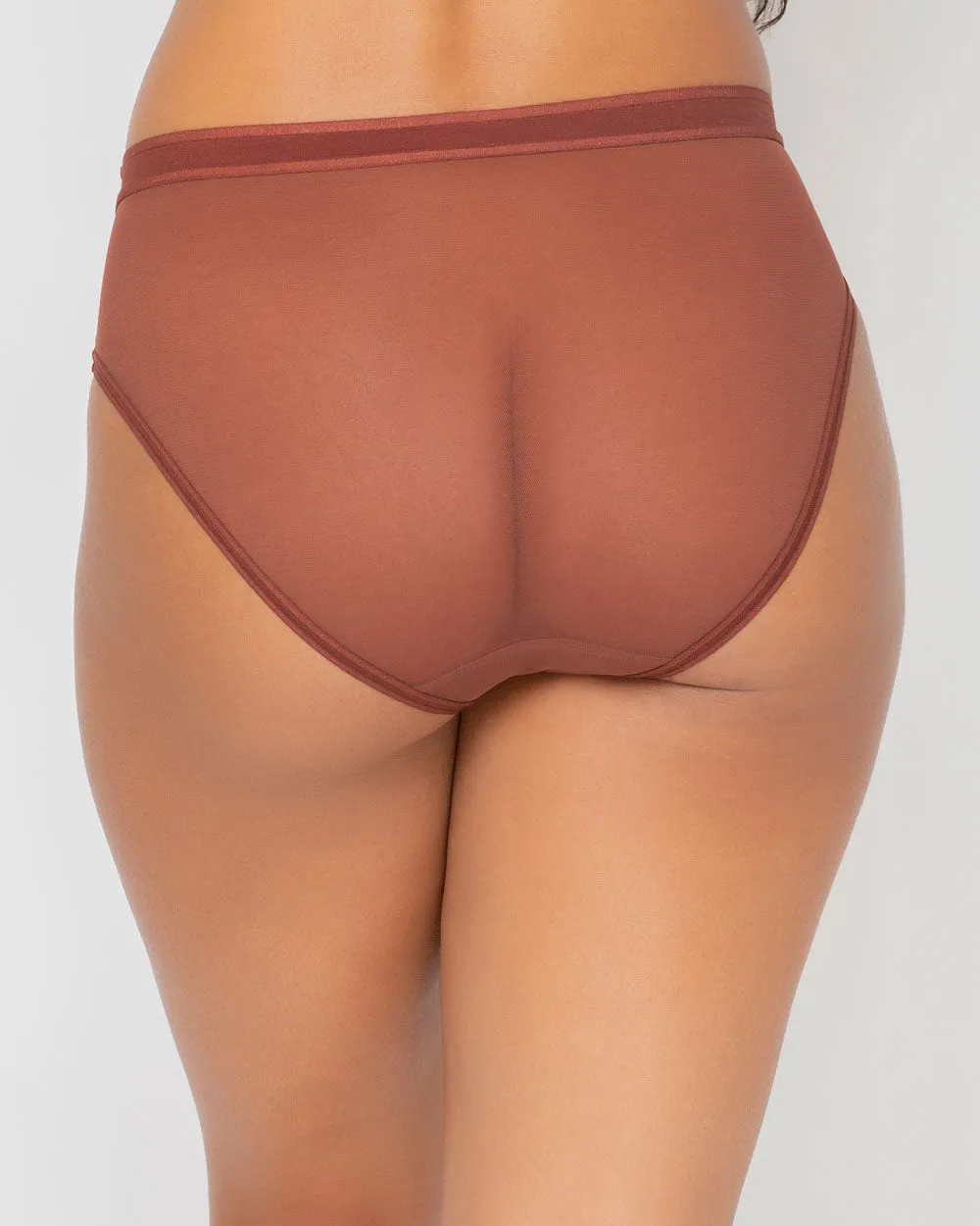 Sheer Mesh High Cut Brief - Chocolate Nude