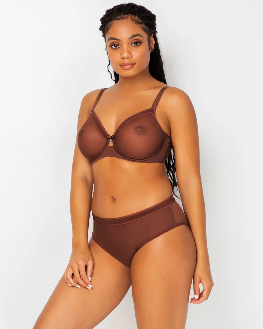 Sheer Mesh High Cut Brief - Chocolate Nude