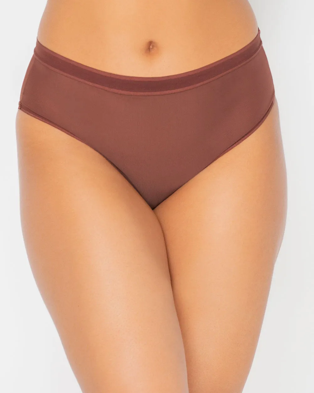 Sheer Mesh High Cut Brief - Chocolate Nude